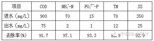 1565398033146229.jpg 4.jpg