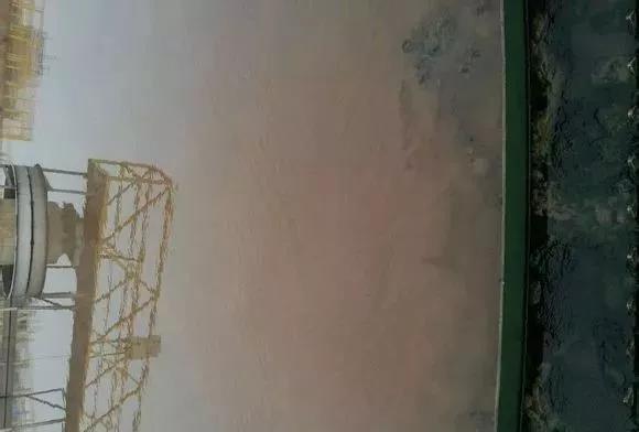 1567758042147792.jpg 11.jpg