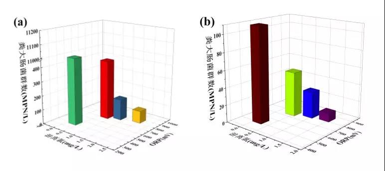 1582863617632227.jpg 215.jpg